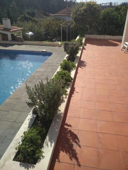 Citrus Tree House, Private Pool And Garden. *