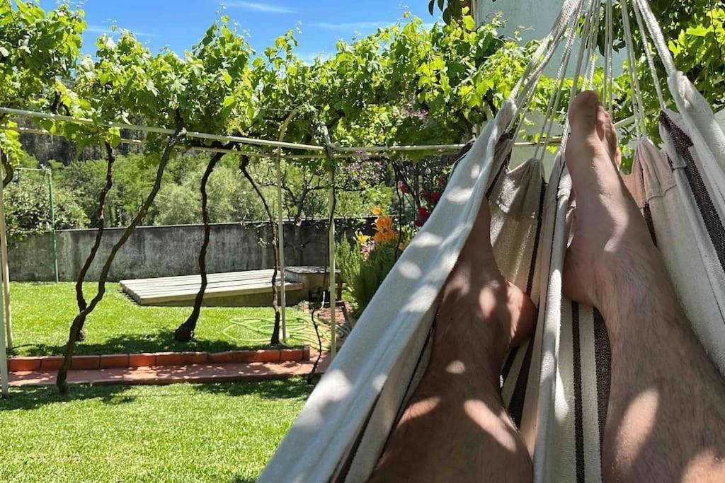 Citrus Tree House, Private Pool And Garden. Holiday home *